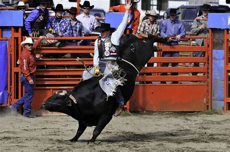 Bull In A Rodeo bet365